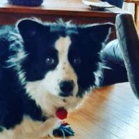 Margene Lindhorst