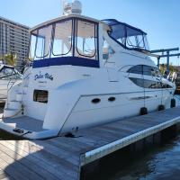 Michael DeMaio