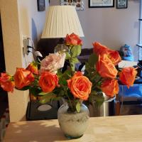 Deborah Caddell
