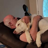 Steven Todd Browning