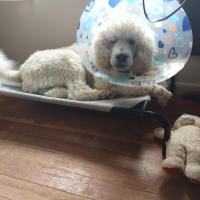 BRIAN POHL