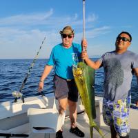 Larry Hollis