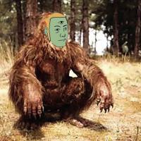 Benut  bob