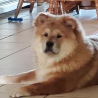 Gerardo Sarria