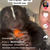 Leland Farino