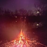 carell jefferson