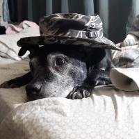 Tim Rauen