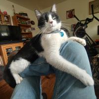 Jonathan Edmond Harrison