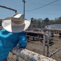 Hoss Johnson
