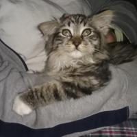 Sam
