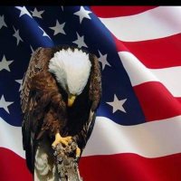 Chris Morlatt