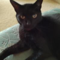 Jeanie hall