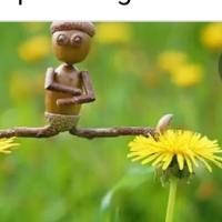 Rhonda Reel
