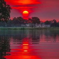 Kristee Adams-Adwell