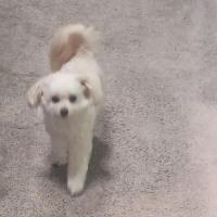 Mickgolf44