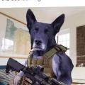 Tod