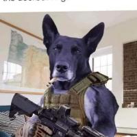 Tod
