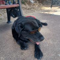 John Sharratt