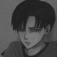 Levi