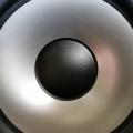 Leslie Powers