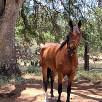 Larry Stratton