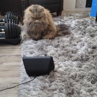 Kevin Milton Gee