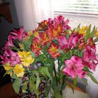 Debbie Phillips