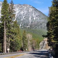 Greg rossow
