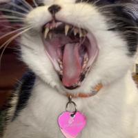 Kathy Bergeron