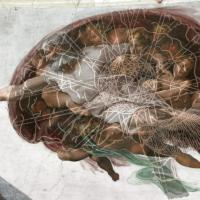 Master Thought