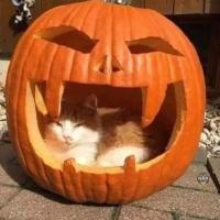 Nancy