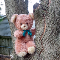 Teddy Persson