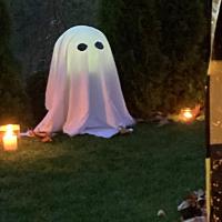 Arkadios Chek