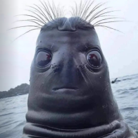 cynthia markrist Vervloet