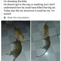 Inon
