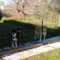 Charles Wilbur Compton