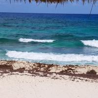 Dorothy Moran