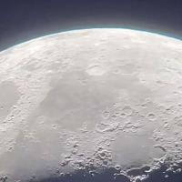 Michael Shackelton