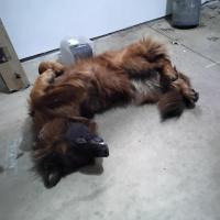 Mark Yezzi