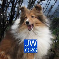 Terry Thistlethwaite