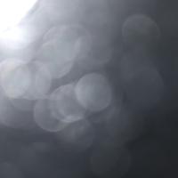 Howie Feltersnatch