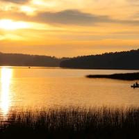 Luis Everardo Alvarado