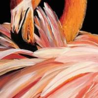 Tonya Fouraker