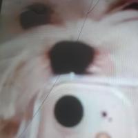 Mckayla