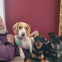 Toni Renae