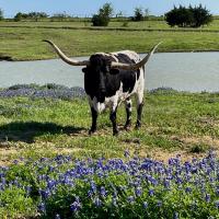 Debi Zinser