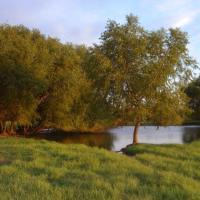 Brecillica Lillie