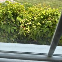 D Miller