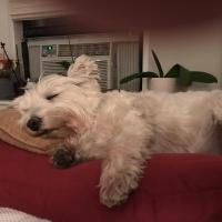Brenda Smith