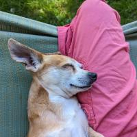 Molly